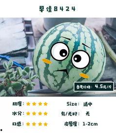 搞笑吃瓜测评,带你领略美食界的欢乐盛宴