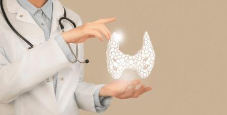 脱发吃瓜的好处,揭秘脱发人群的饮食奥秘