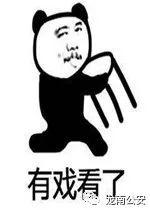 PC吃瓜群众,揭秘网络舆论场的众生相