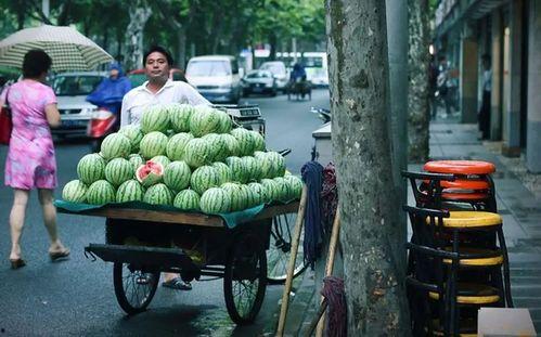 泊头运河桥下吃瓜