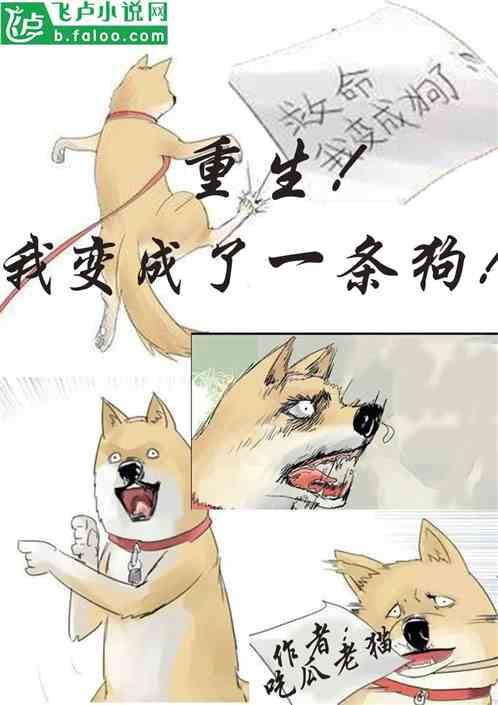 吃瓜成了瓜主小说,意外逆袭的瓜界传奇