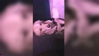 木木往期吃瓜视频