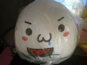 小抱枕吃瓜,趣味横生的生活点滴